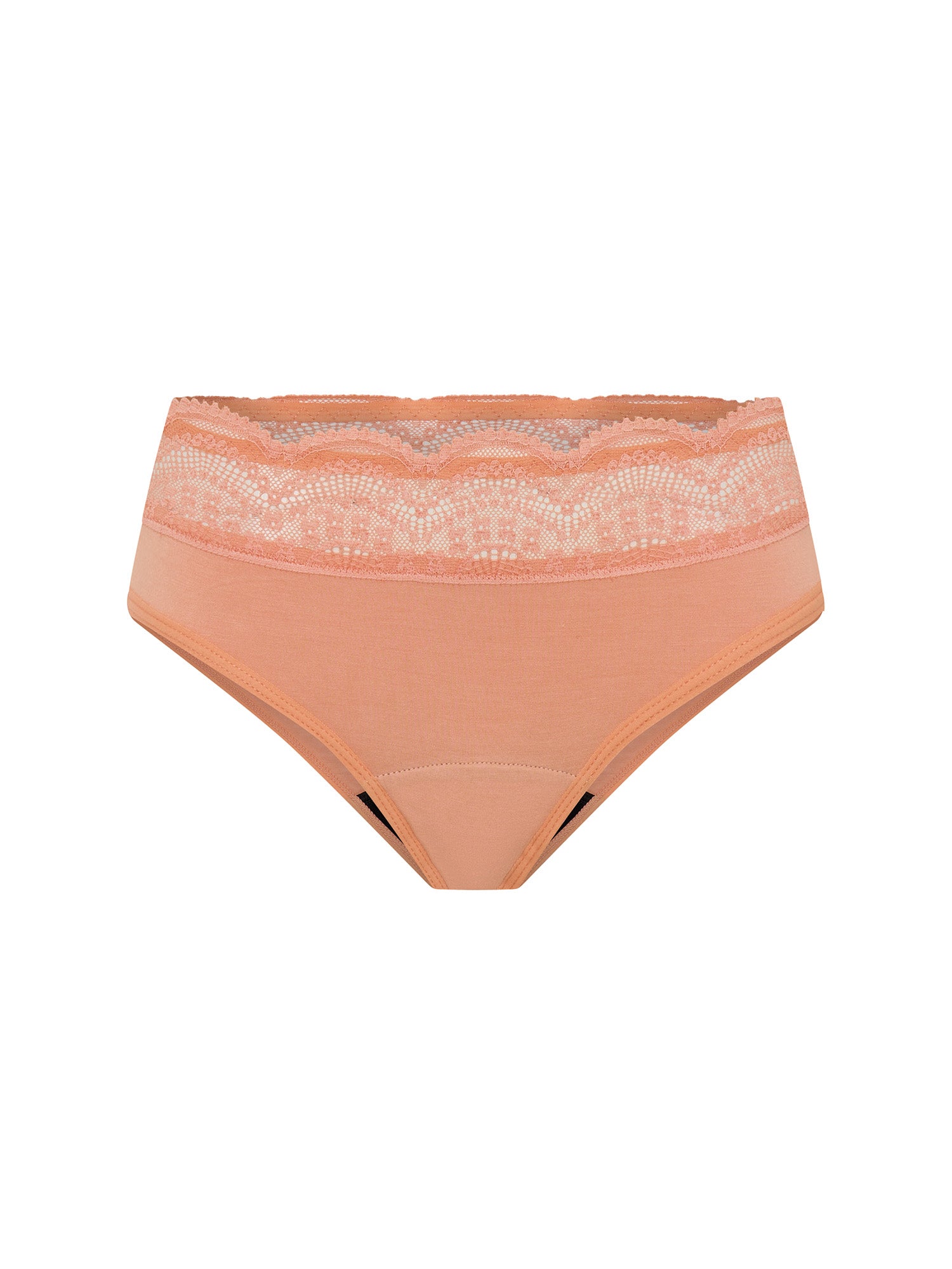 תחתונים למחזור דגם ביקיני סקסי בספיגה קלה, פקשוט מוצר נקי על רקע לבן.