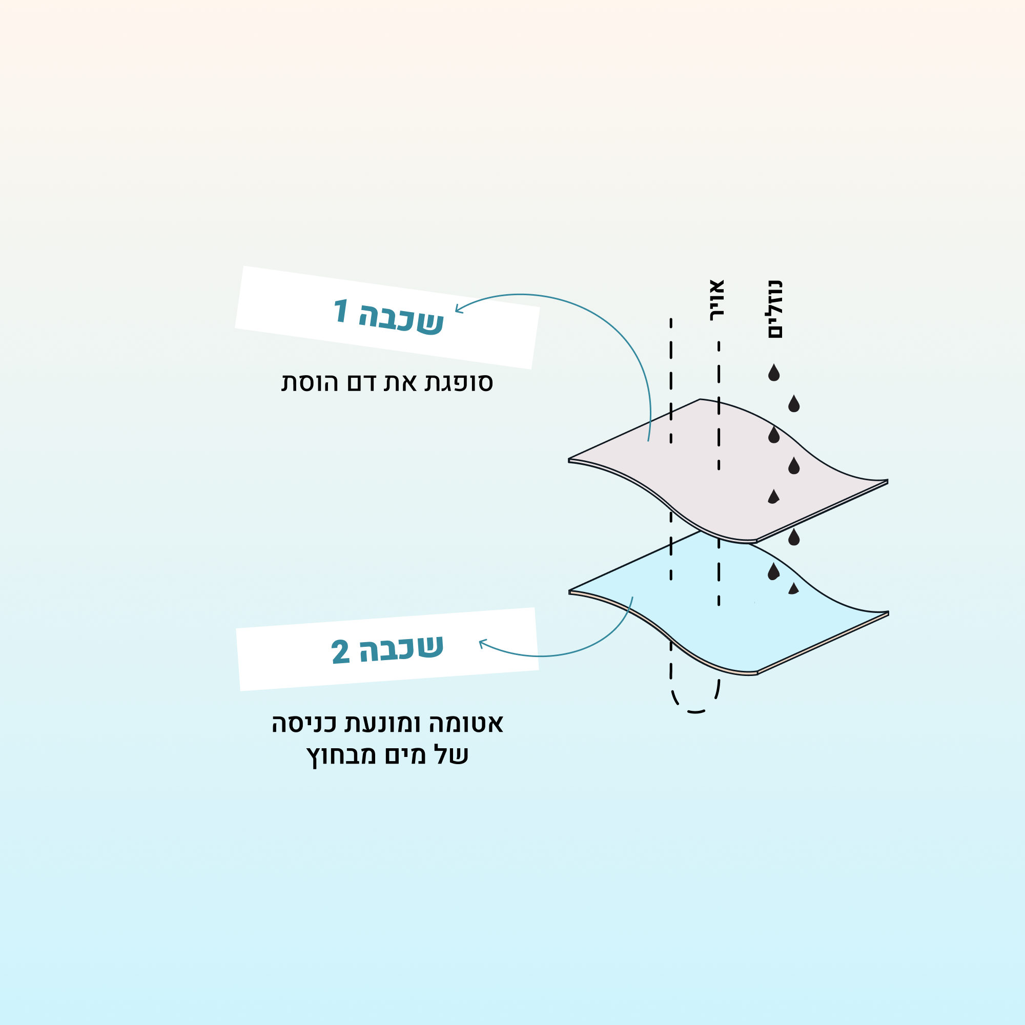 בגדי ים לוסת